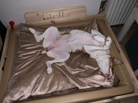 Gutes (ortho) Bett mit hohen Rand gesucht. Ideen?-Beitrag-Bild