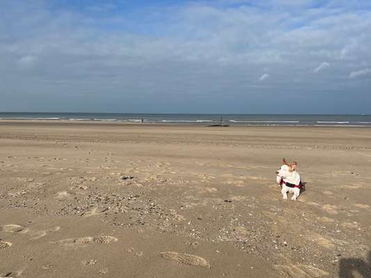 7. Kurzgeschichten Challenge: Spaziergang am Strand-Beitrag-Bild