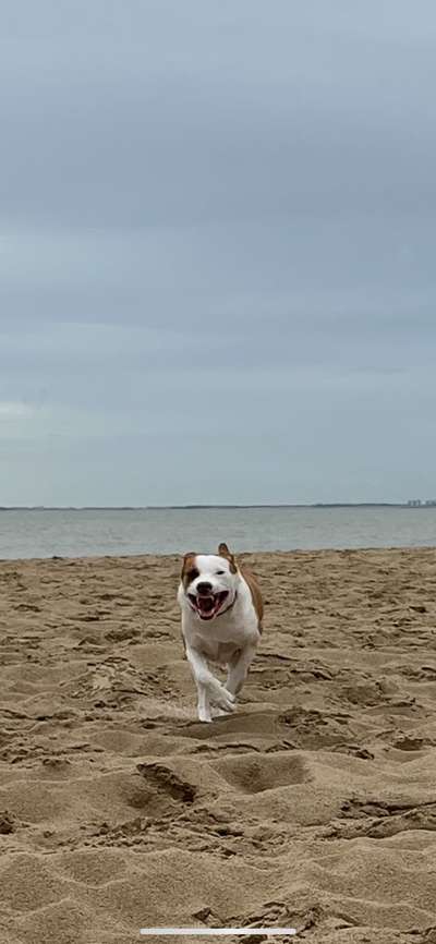 "Die eingefangene Magie des Augenblicks"-Beitrag-Bild