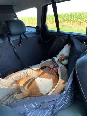 Die unbequemsten und lustigsten Schlafpositionen-Beitrag-Bild