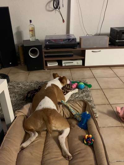 Die unbequemsten und lustigsten Schlafpositionen-Beitrag-Bild