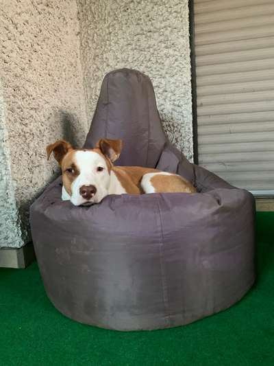 Schlafplatz im Garten-Beitrag-Bild