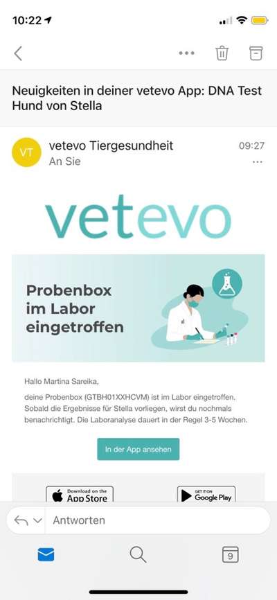 Welche Rasse?-Beitrag-Bild