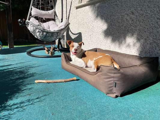 Schlafplatz im Garten-Beitrag-Bild