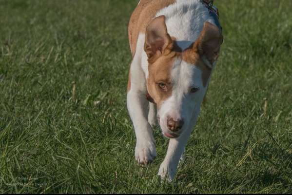 Was können eure Ohren so? ;)-Beitrag-Bild