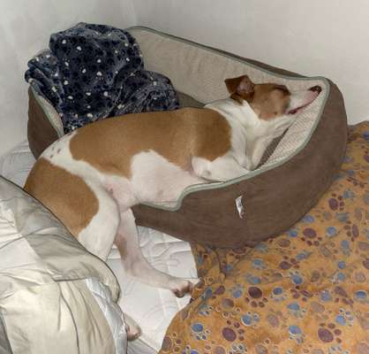 Die unbequemsten und lustigsten Schlafpositionen-Beitrag-Bild