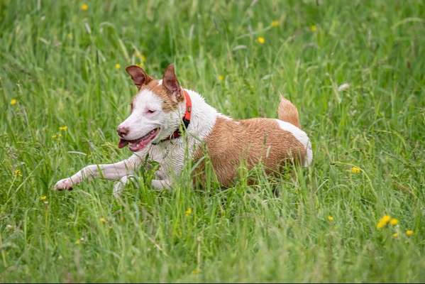 FOTO CHALLENGE Thema ,,durchdrehen"-Beitrag-Bild