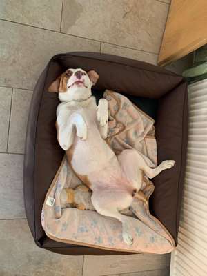 Die unbequemsten und lustigsten Schlafpositionen-Beitrag-Bild