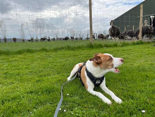 "Die eingefangene Magie des Augenblicks"-Beitrag-Bild