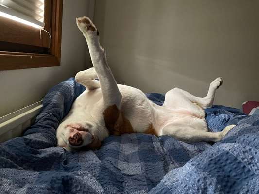 Die unbequemsten und lustigsten Schlafpositionen-Beitrag-Bild