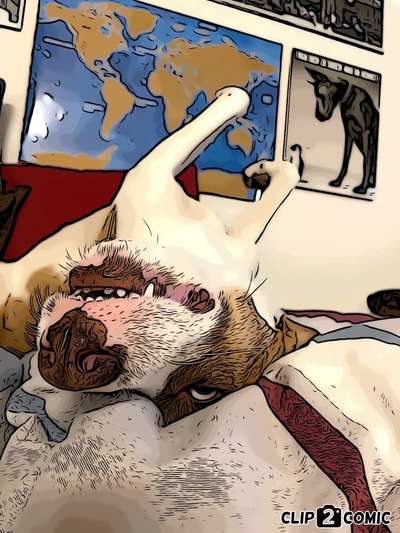 Der Hund als Cartoon-Beitrag-Bild