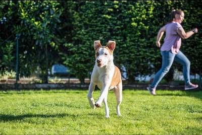 Euer schönstes Bild mit eurem Hund gemeinsam!-Beitrag-Bild