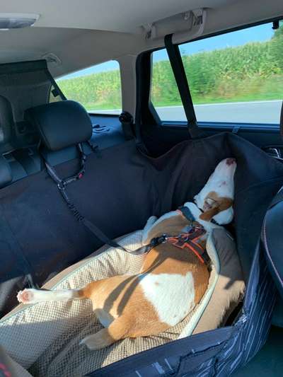 Die unbequemsten und lustigsten Schlafpositionen-Beitrag-Bild