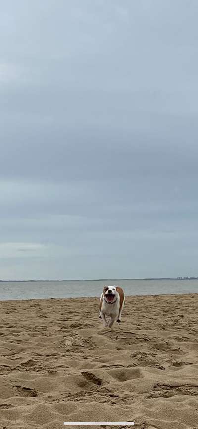 "Die eingefangene Magie des Augenblicks"-Beitrag-Bild