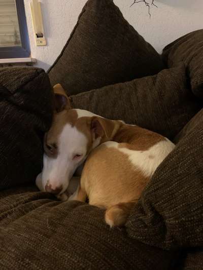 Die unbequemsten und lustigsten Schlafpositionen-Beitrag-Bild