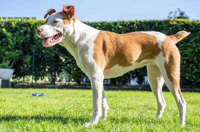 DNA-Tests-Beitrag-Bild