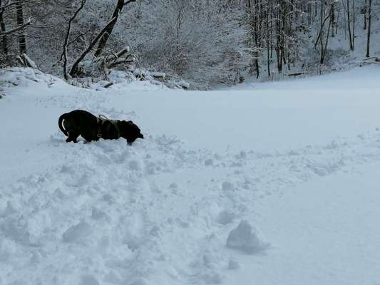 Handyfoto Challange  - Winter,Schnee-Beitrag-Bild