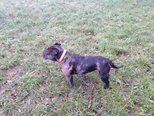 Erfolgsgeschichten gesucht-Beitrag-Bild