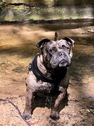 Foto Challenge Nr.133-Beitrag-Bild