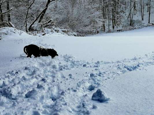 Theos  Fotochallenge Nummer 2-Beitrag-Bild