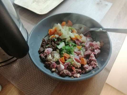 Zeigt her Eure Futternäpfe-Beitrag-Bild