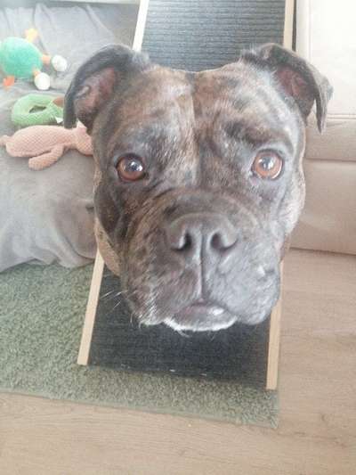 147. Foto Challenge: Bettelblick-Beitrag-Bild