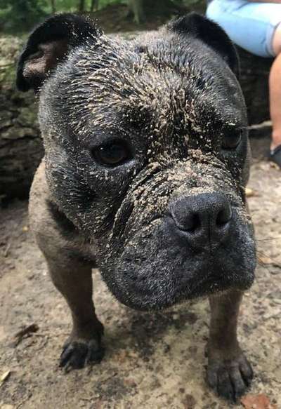 28. Farben Foto Challenge * BEIGE *-Beitrag-Bild