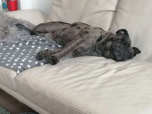 Foto Challenge Nr. 134-Beitrag-Bild