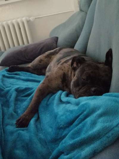 Erfolgsgeschichten gesucht-Beitrag-Bild