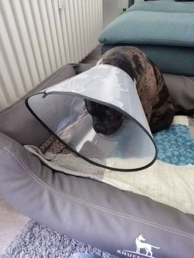 Hier ist der Spaßthread. Zum Schmunzeln und Kaputtlachen-Beitrag-Bild