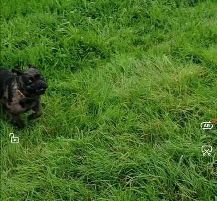 Un...scharf Bilder-Beitrag-Bild