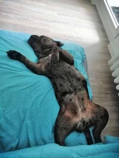 Fotochallange Nummer 5-Beitrag-Bild