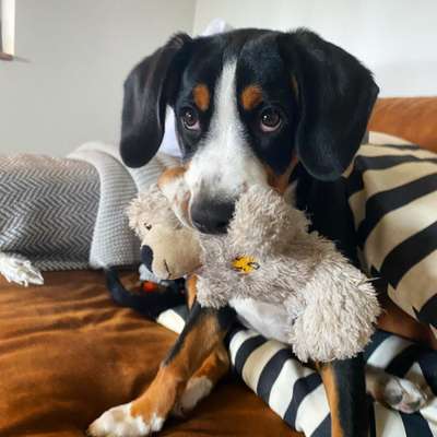 Fotochallange Nr. 57     PORTRÄT.   Beendet!!!!!!!!-Beitrag-Bild