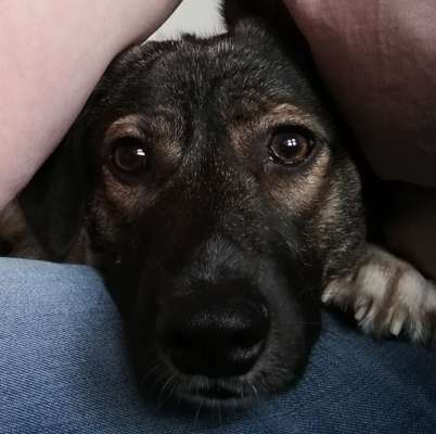 Fotochallange Nr. 57     PORTRÄT.   Beendet!!!!!!!!-Beitrag-Bild