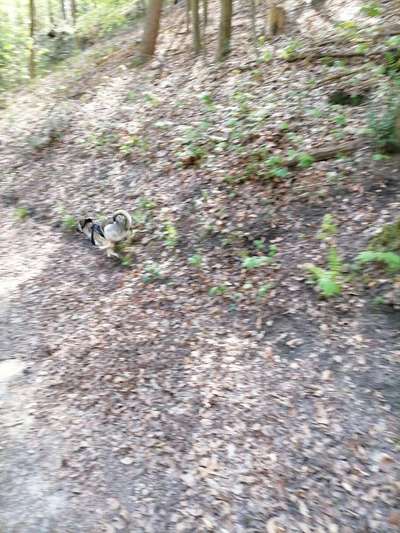 Un...scharf Bilder-Beitrag-Bild