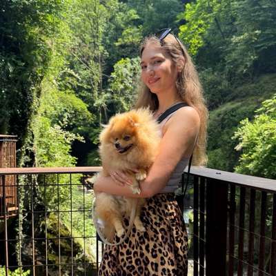 Hundetreffen-Gassirunde mit Minis