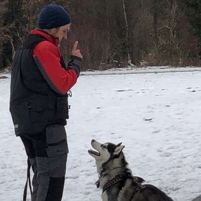 Steffen's Profilbild