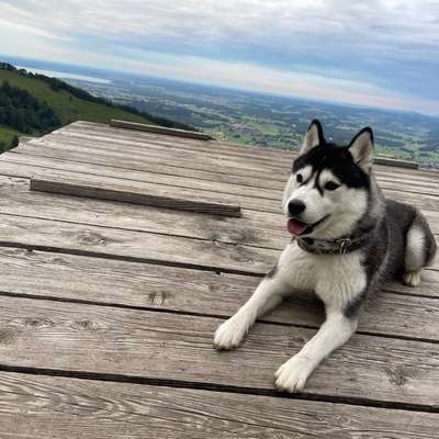 aktuelles Foto Gruppe Wandern und Outdoor