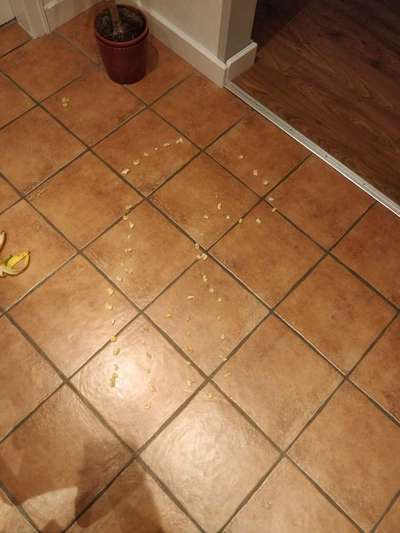 Tatort Challenge
Wer macht mit und schafft es?-Beitrag-Bild