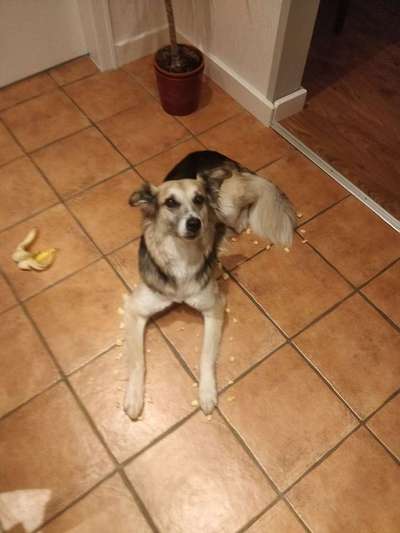 Tatort Challenge
Wer macht mit und schafft es?-Beitrag-Bild