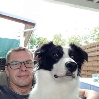 Hundetreffen-Gassi gehen-Profilbild