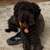 Beitrag-Verfasser-Bild