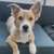 Beitrag-Verfasser-Bild