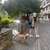 Beitrag-Verfasser-Bild