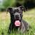 Beitrag-Verfasser-Bild
