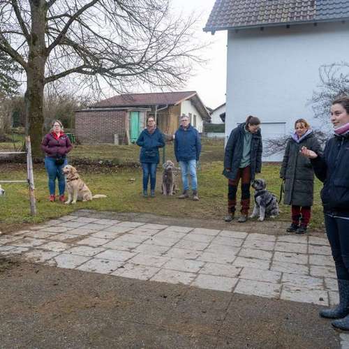 Hundeauslaufgebiet-Hundeschule Dogether-Bild