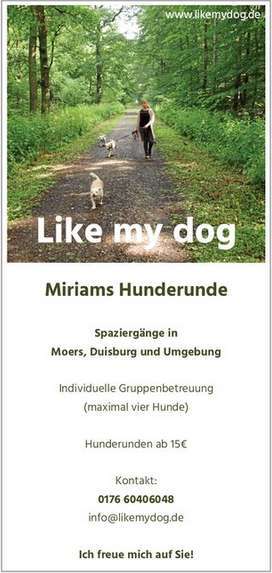 Hundeauslaufgebiet-Like my dog - Dogwalking/mobile Hundebetreuung 🐾🚶🏻‍♀️🐶-Bild
