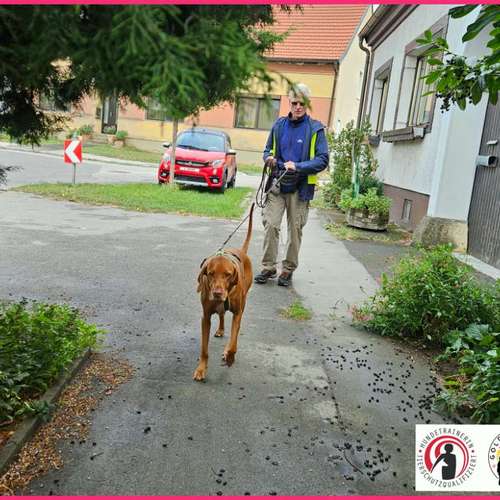Hundeauslaufgebiet-Goldmariechen Maria Reiss-Bild