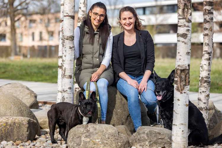 Hundeauslaufgebiet-FITBUDDYS Hundephysio & Ernährung-Bild