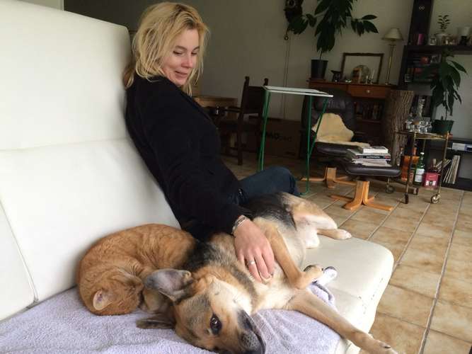 Hundeauslaufgebiet-She:Alpha-Bild